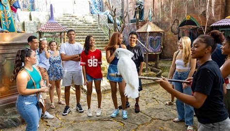 AMAZONIA: THE JUNGLE EXPERIENCE TOUR - All You Need to Know BEFORE You ...