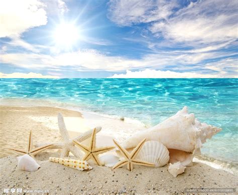 海洋 的图像结果