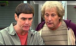 Image result for dumb and dumber