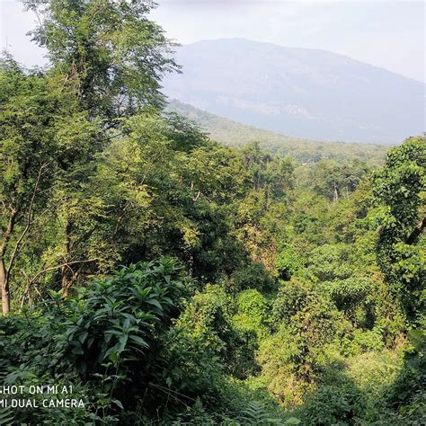 KOVAI KUTRALAM WATER FALLS (2026) All You Need to Know BEFORE You Go ...