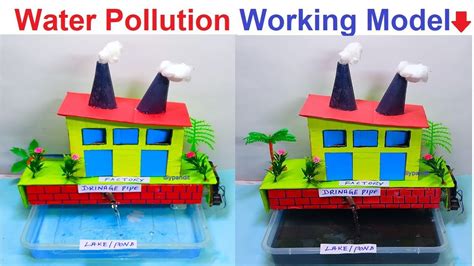 Environmental Science Fair Projects 的图像结果