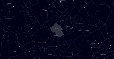 Delphinus Constellation Guide - A Dolphin of Stars • Love the Night Sky