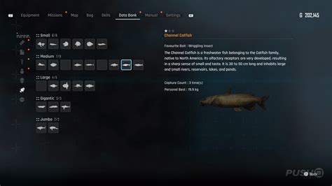 Stellar Blade: All Fish Locations and How to Catch Them | Push Square