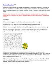 Image result for Random Sample Worksheet