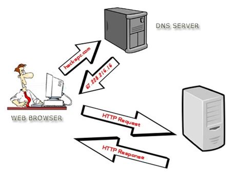 DNS服务器是什么？什么是DNS服务器？DNS服务器的作用