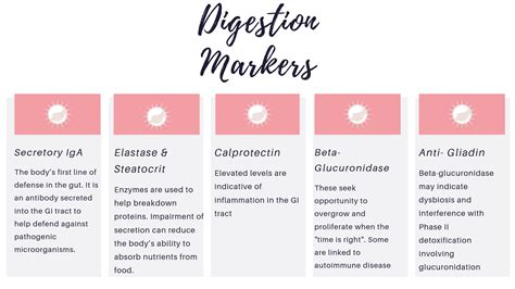 Image result for GI Map Samples