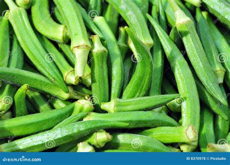 Lady Fingers Vegetable