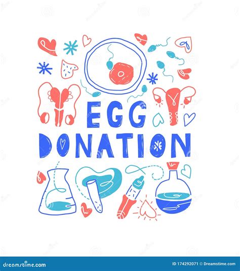 EGG DONATION Unique Hand Drawn Lettering. Phrase about Egg Donation ...