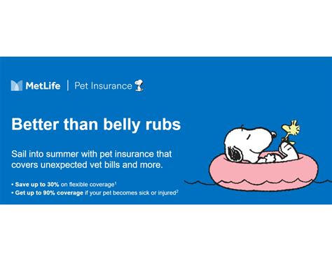 American Professional Agency