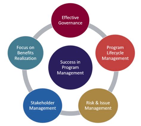 Program Mgmt 的图像结果