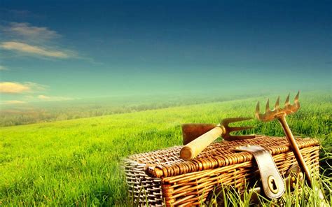 happiness 的图像结果