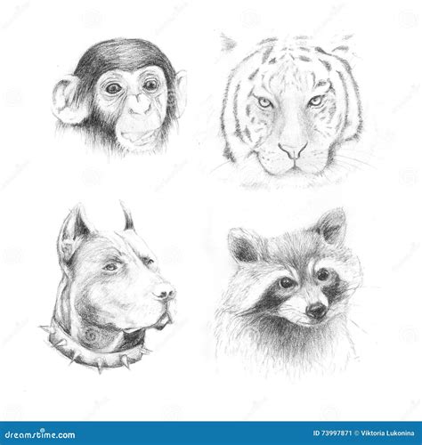 Pencil Drawing Animals Free - pencildrawing2019