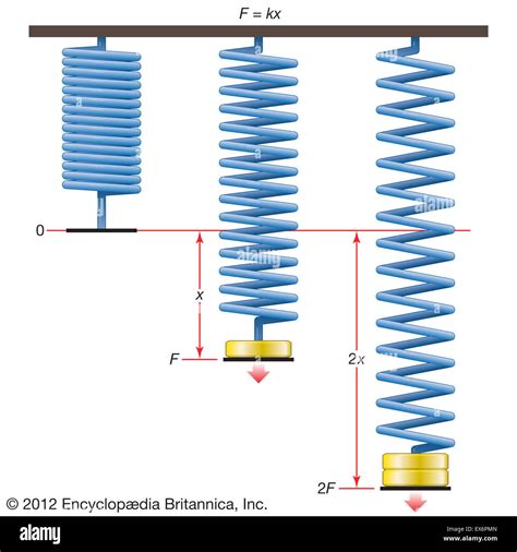 Series And Parallel Springs