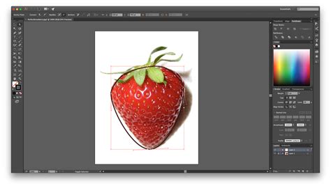 Image result for Illustrator Basic Drawing