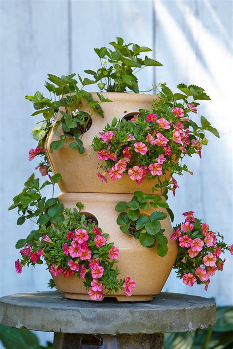 3 Planting Ideas for Strawberry Pots That Aren't Strawberries