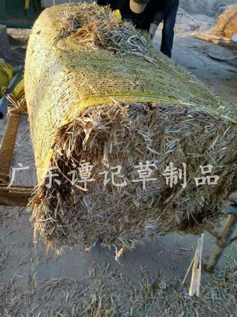 广西广东湖南 批发出售喂牛马食用牛场马场种蘑菇食用菌稻草禾秆