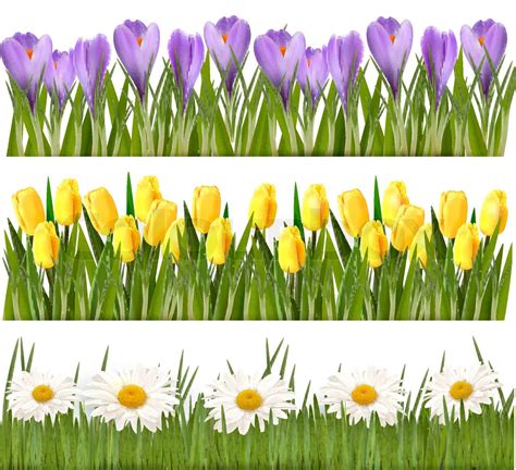 Fresh spring and flower borders Vector | Stock vector | Colourbox