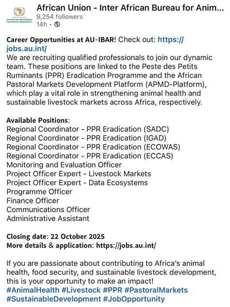 February African Union Vacancies 2026, Latest Job Opportunities at @au ...