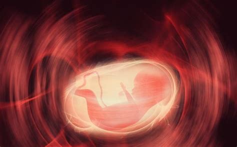 怀孕八周，今天做的B超，医生说胚胎停育要做清宫手术 - 百度宝宝知道
