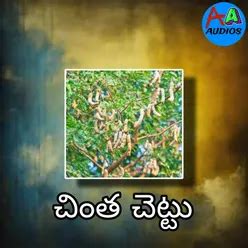 Chinta Chettu MP3 Song Download | Chinta Chettu @ WynkMusic