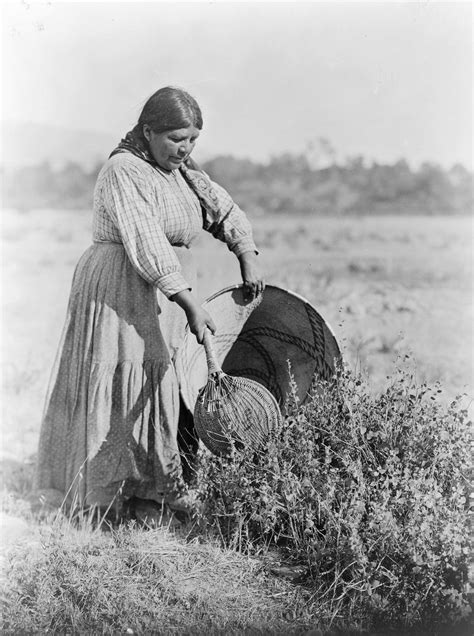 Claim Pomo Tribe Native American Indian Allotment
