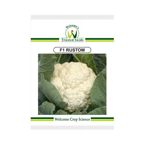 Rustom Cauliflower Seeds - Welcome | Buy Online at Best Price – Desikheti