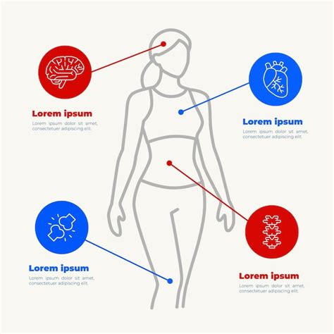 Key human body systems and functions | Premium Vector
