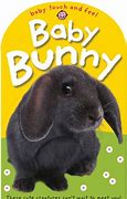Image result for Tradescantiat Baby Bunny