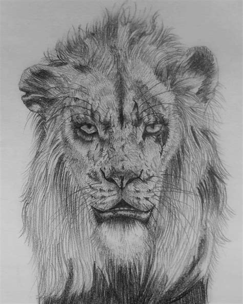 ArtStation - Scar- The Lion King