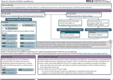 Image result for Algorithm for Diabetes Management
