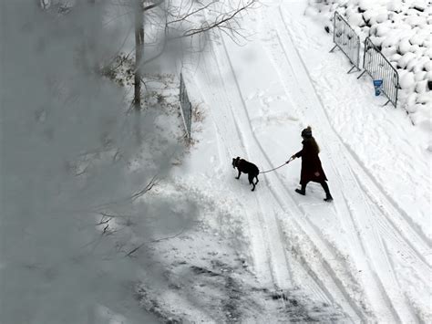 ‘Bomb cyclone’ forecasted to bring heavy snow, blizzard conditions and dangerous travel