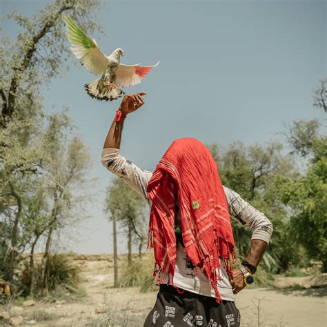 The Jubilant I - Matthieu Paley Prints