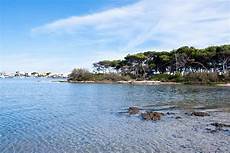 isola dei conigli porto cesareo isola dei conigli e la spiaggia dell isola grande visita isola dei conigli porto cesareo isola dei conigli e la spiaggia dell isola grande visita