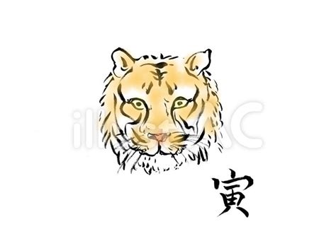 Image result for Custom CSS File