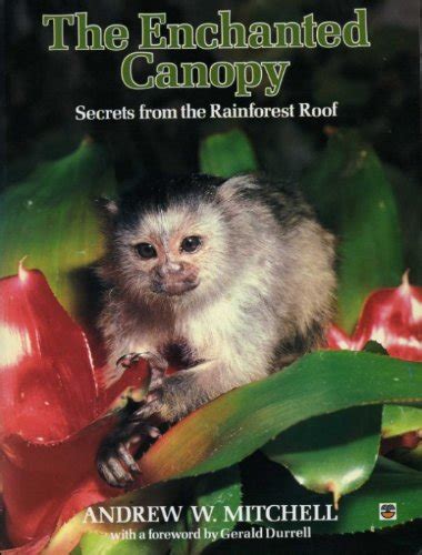 Buy The Enchanted Canopy: Secrets from the Rain Forest Roof Book Online ...