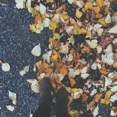 autumn, blue, design and fairy lights - image #3456670 on Favim.com