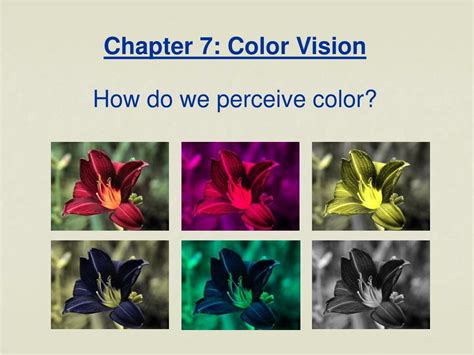 Color Vision 的图像结果