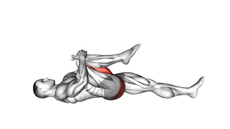 Knee To Chest Stretch: Video Guide & Tips