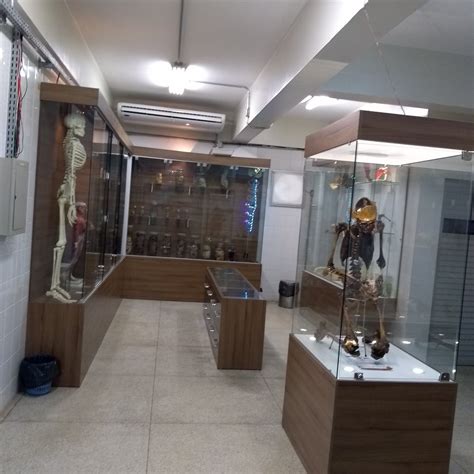 UFPA MUSEU DE ANATOMIA HUMANA E FUNCIONAL (2026) All You Need to Know ...