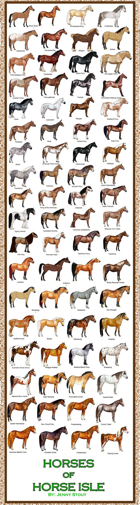 Horse breeds : r/coolguides