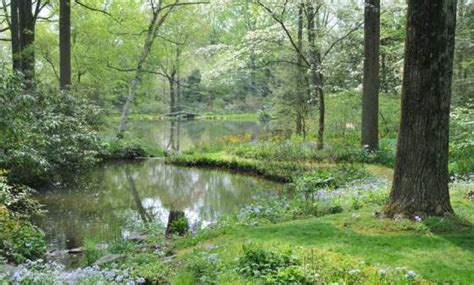 Fall Foliage in Delaware | Visit Delaware