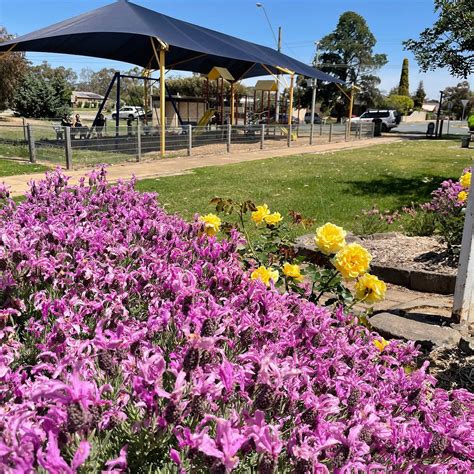 ROCHESTER LIONS PARK (2026) All You Need to Know BEFORE You Go (with ...