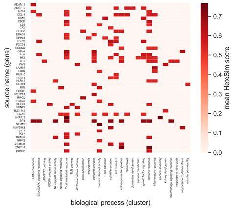 Cross-Domain Text Mining of Pathophysiological Processes Associated ...
