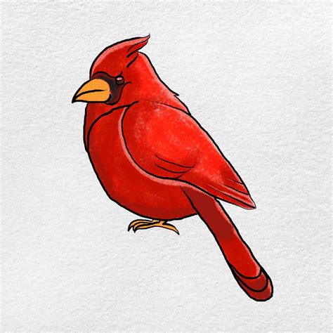 How to Draw a Cardinal - HelloArtsy