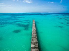 The Twelve Concepts of ACA | ACA ISO India