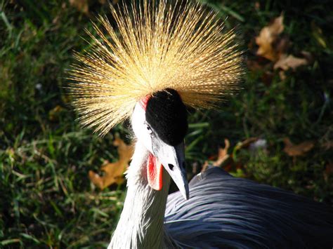 Nashville Zoo at Grassmere, nashville, United States Of America - Top ...
