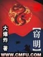 《国姓窃明》小说在线阅读-起点中文网