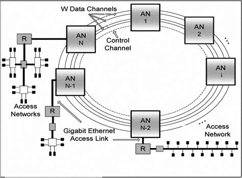 Network Architectures Table 的图像结果