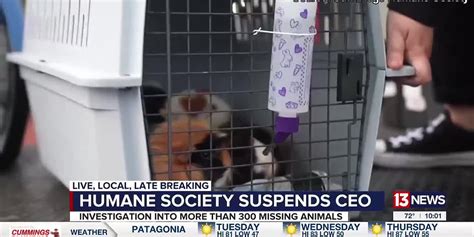 Two Humane Society leaders out following controversial transfer of animals