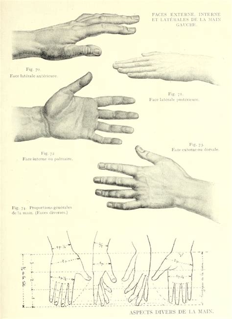 Language and Behavior Human Figure 的图像结果